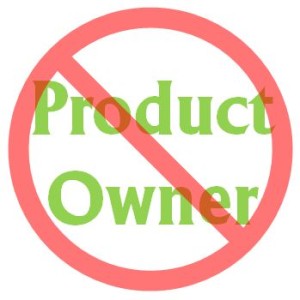 no-product-owner